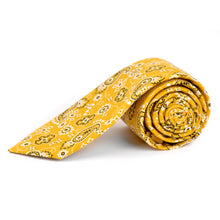 Load image into Gallery viewer, Paisley Slim Tie 2.5&quot;
